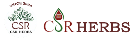 footer-logo