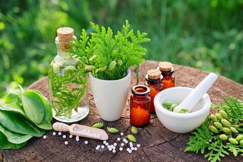 herbal-pure-tea