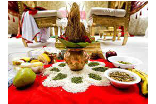 herbal-pure-medicine